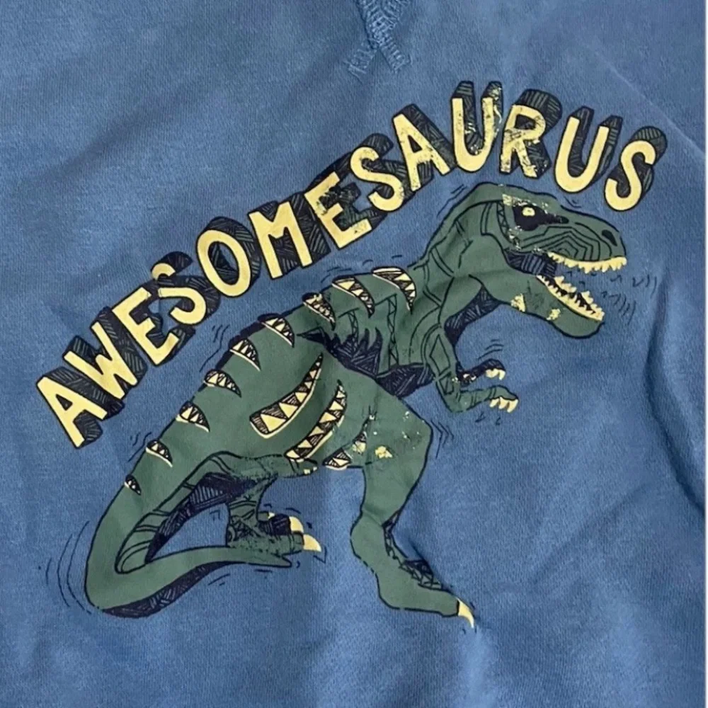 Primark Boys Size 2-3 Blue Plaid/Dinosaur Sweater & Cap Bundle